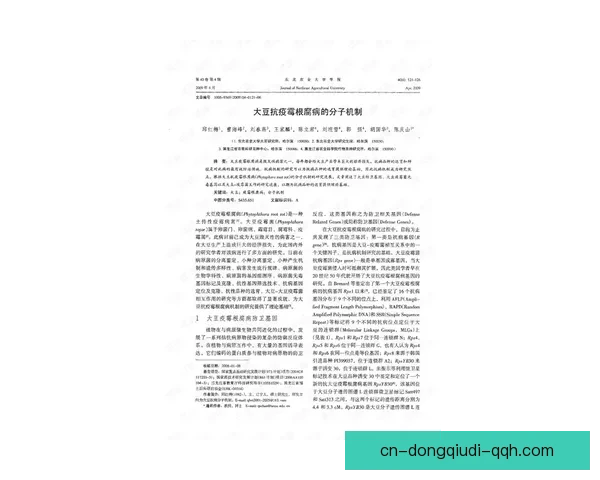 林古尔与根内拉逊在国际政治博弈中的策略对抗与深度解析